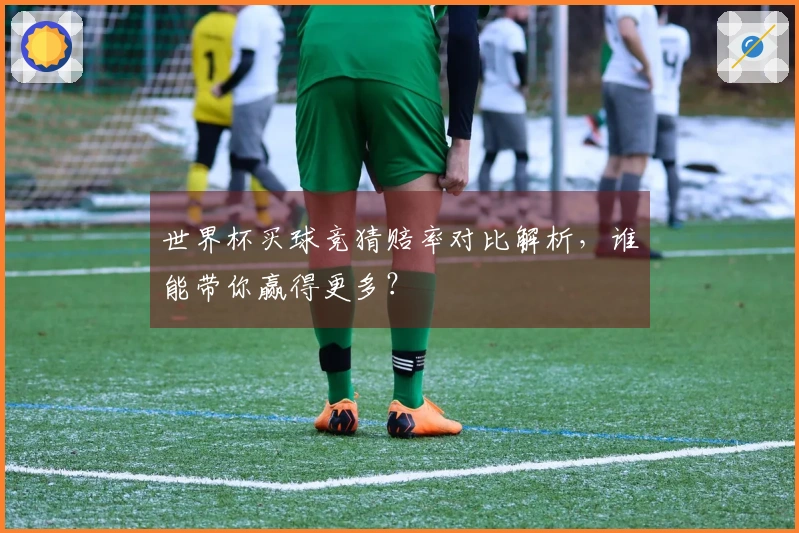 世界杯买球竞猜赔率对比解析，谁能带你赢得更多？