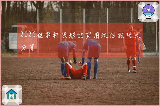 2026世界杯买球的实用玩法技巧大分享