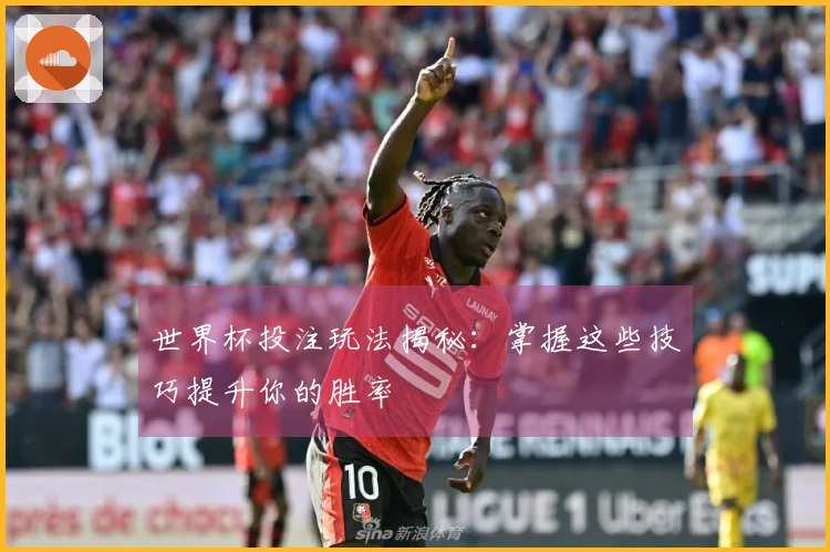 世界杯投注玩法揭秘：掌握这些技巧提升你的胜率