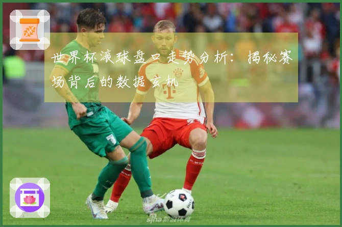 世界杯滚球盘口走势分析：揭秘赛场背后的数据玄机