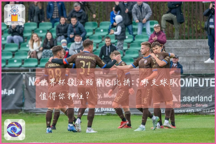世界杯投注赔率大比拼：哪支球队值得你押注？