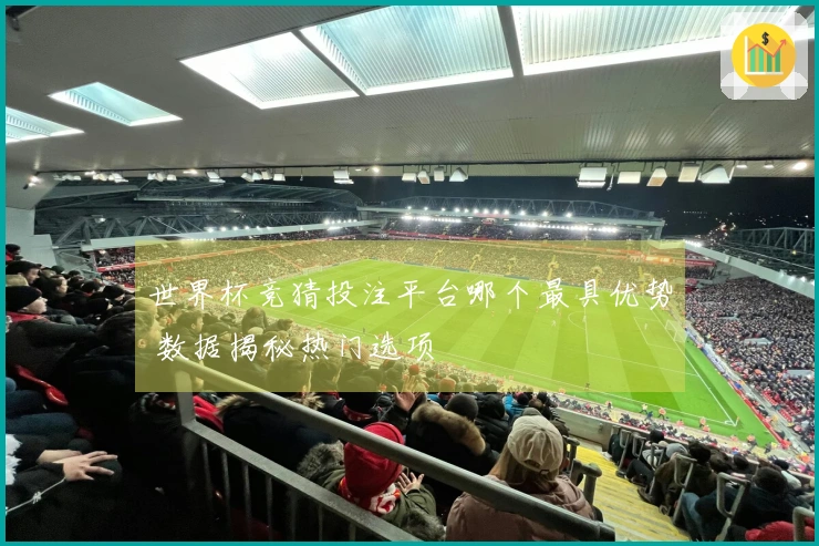 世界杯竞猜投注平台哪个最具优势 数据揭秘热门选项