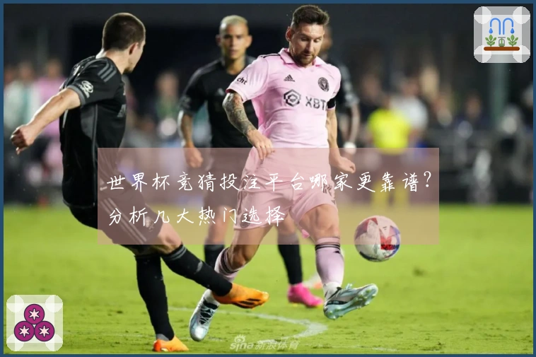 世界杯竞猜投注平台哪家更靠谱？分析几大热门选择