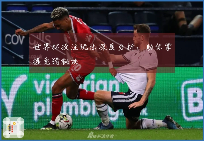 世界杯投注玩法深度分析，助你掌握竞猜秘诀