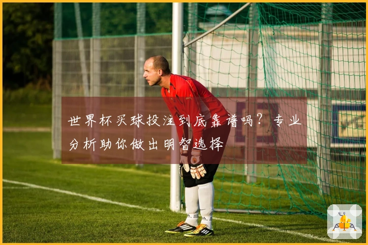 世界杯买球投注到底靠谱吗？专业分析助你做出明智选择