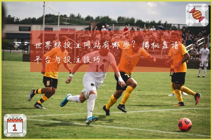 世界杯投注网站有哪些？揭秘靠谱平台与投注技巧