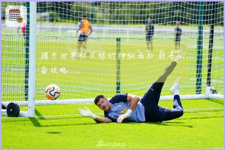 揭开世界杯买球的神秘面纱 新手必备攻略