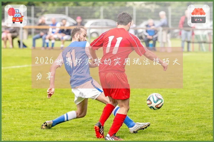 2026世界杯买球的实用玩法技巧大分享
