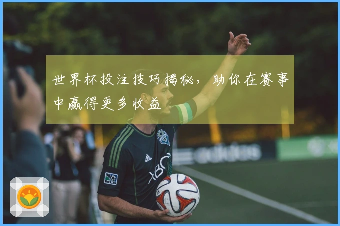 世界杯投注技巧揭秘，助你在赛事中赢得更多收益