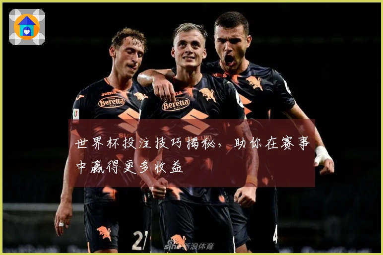 世界杯投注技巧揭秘，助你在赛事中赢得更多收益