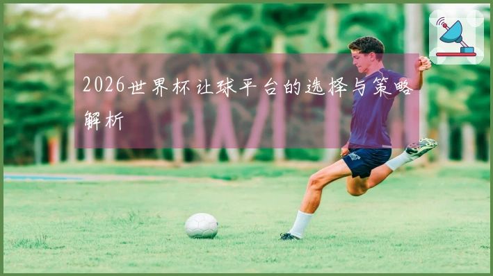 2026世界杯让球平台的选择与策略解析