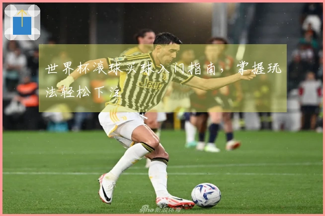 世界杯滚球买球入门指南,掌握玩法轻松下注