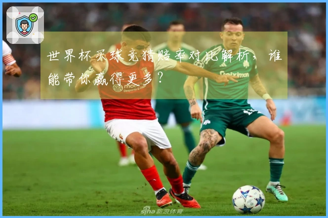 世界杯买球竞猜赔率对比解析，谁能带你赢得更多？