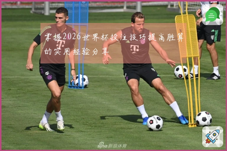 掌握2026世界杯投注技巧提高胜算的实用经验分享