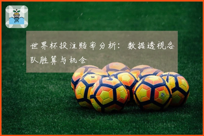 世界杯投注赔率分析：数据透视各队胜算与机会
