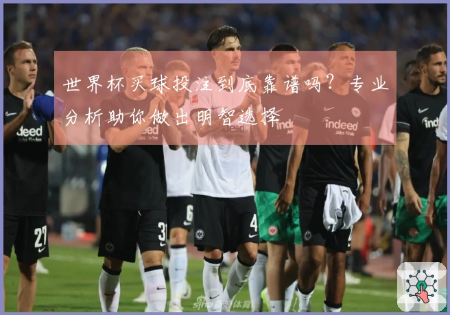 世界杯买球投注到底靠谱吗？专业分析助你做出明智选择