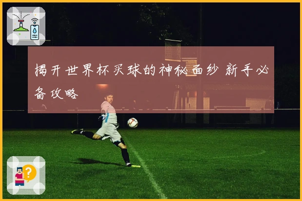 揭开世界杯买球的神秘面纱 新手必备攻略