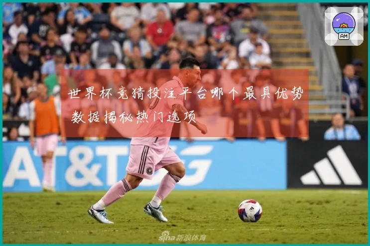 世界杯竞猜投注平台哪个最具优势 数据揭秘热门选项