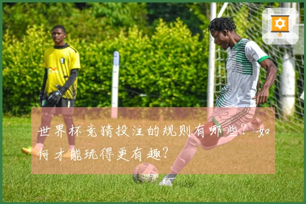 世界杯竞猜投注的规则有哪些？如何才能玩得更有趣？
